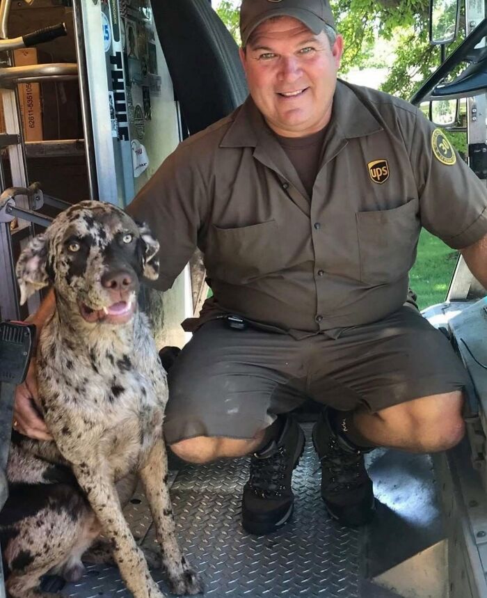 145 Times UPS Drivers Met Adorable Pets And Couldn’t Help But Brag (New Pics)