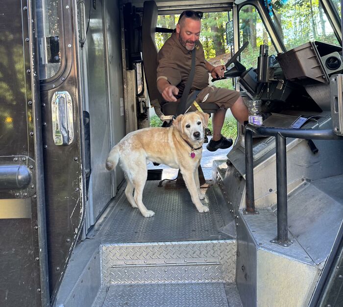145 Times UPS Drivers Met Adorable Pets And Couldn’t Help But Brag (New Pics)