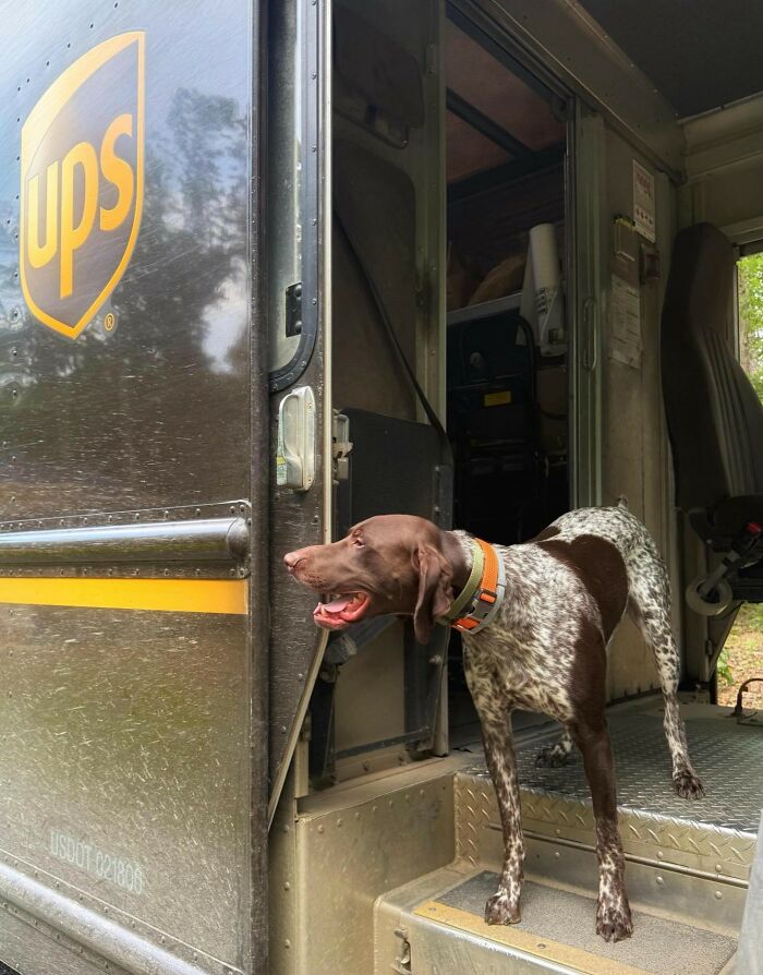 145 Times UPS Drivers Met Adorable Pets And Couldn’t Help But Brag (New Pics)