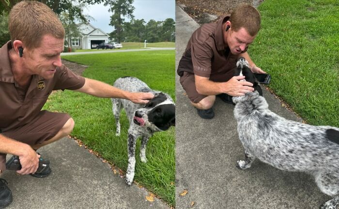 145 Times UPS Drivers Met Adorable Pets And Couldn’t Help But Brag (New Pics)