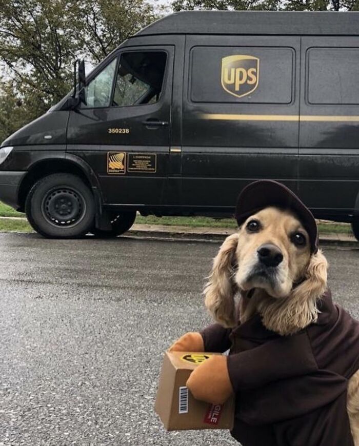 145 Times UPS Drivers Met Adorable Pets And Couldn’t Help But Brag (New Pics)