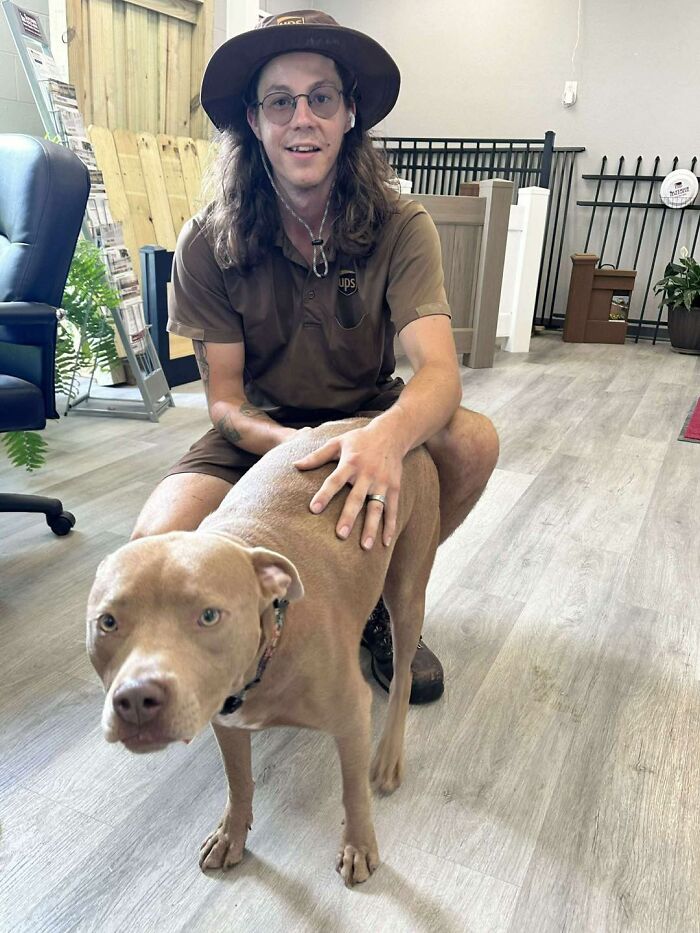 145 Times UPS Drivers Met Adorable Pets And Couldn’t Help But Brag (New Pics)