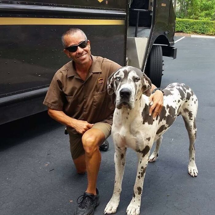 145 Times UPS Drivers Met Adorable Pets And Couldn’t Help But Brag (New Pics)