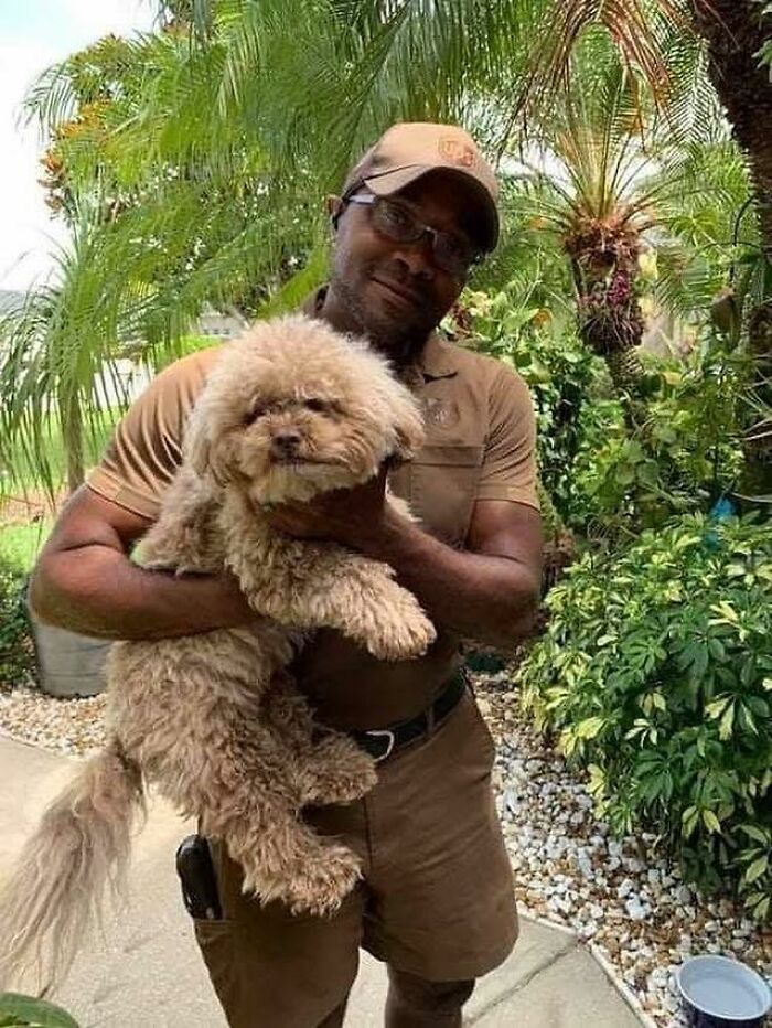145 Times UPS Drivers Met Adorable Pets And Couldn’t Help But Brag (New Pics)
