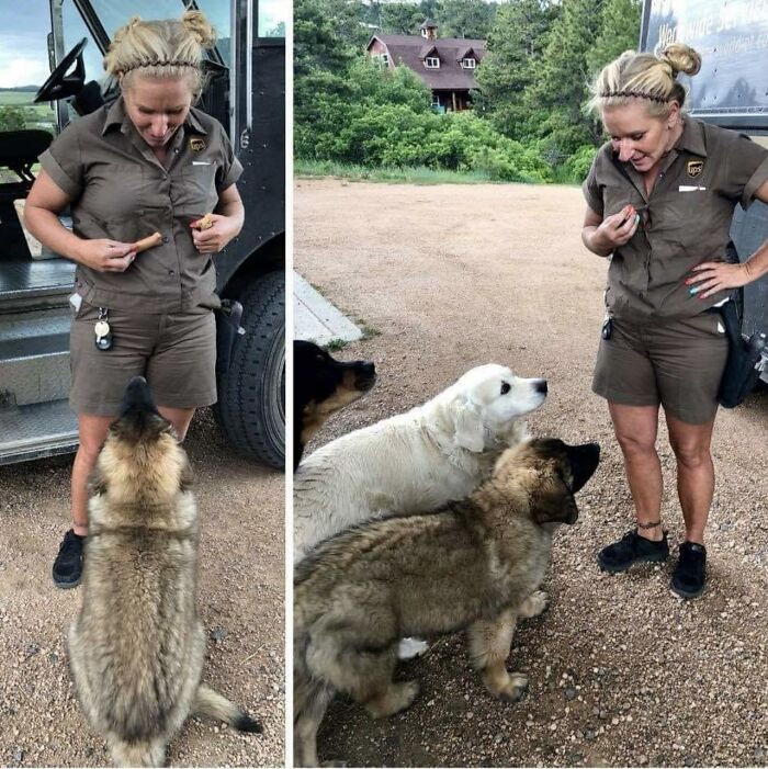 145 Times UPS Drivers Met Adorable Pets And Couldn’t Help But Brag (New Pics)