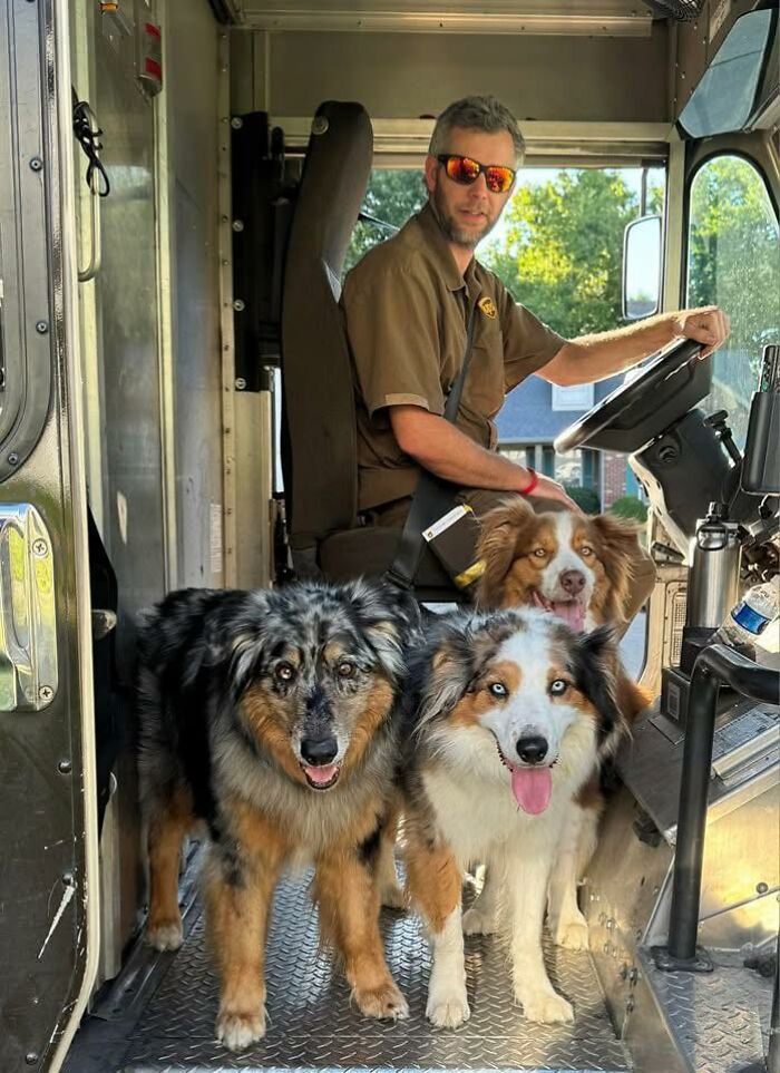 145 Times UPS Drivers Met Adorable Pets And Couldn’t Help But Brag (New Pics)