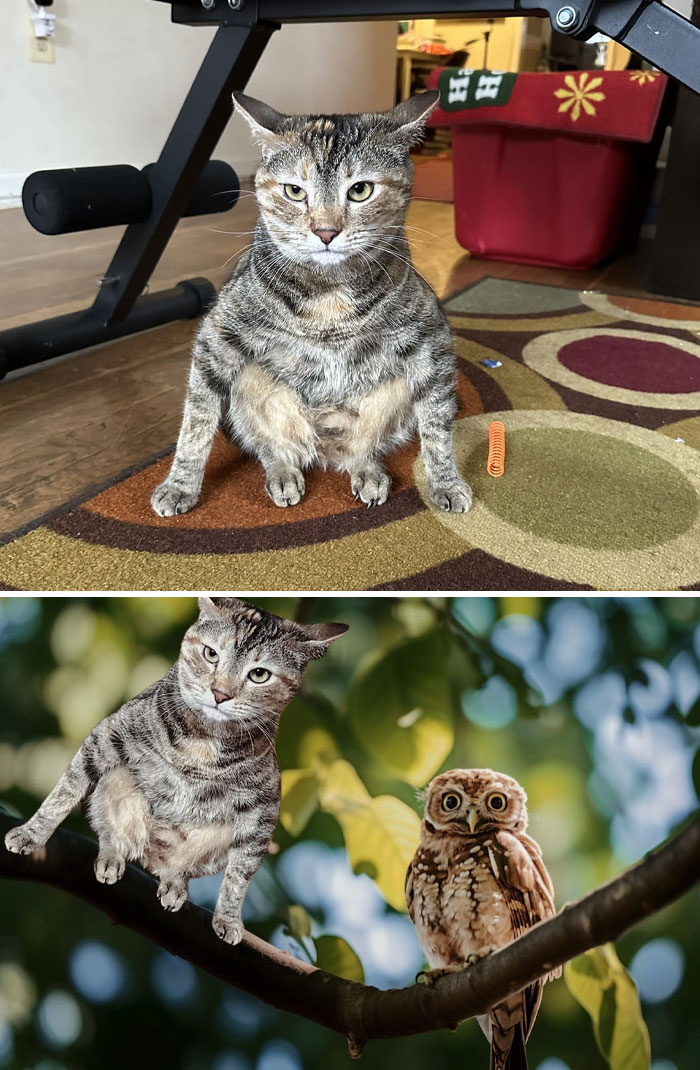 86 People Who Asked For Photo Edits, But Got Hilariously Unexpected Results Instead (New Pics)
