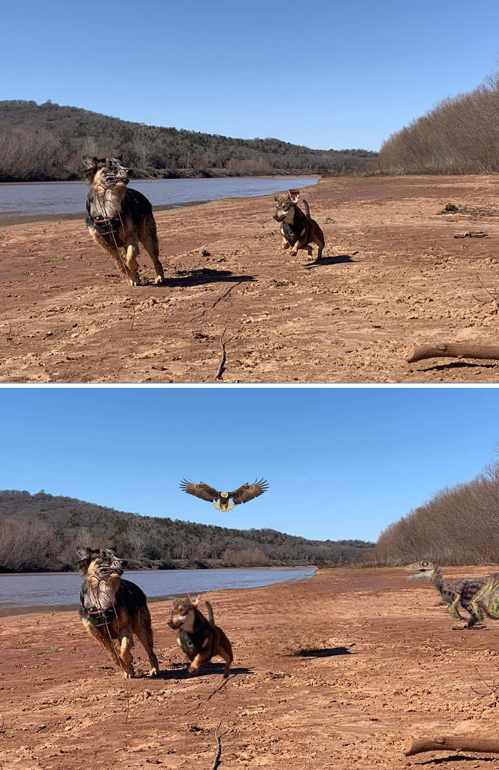 86 People Who Asked For Photo Edits, But Got Hilariously Unexpected Results Instead (New Pics)