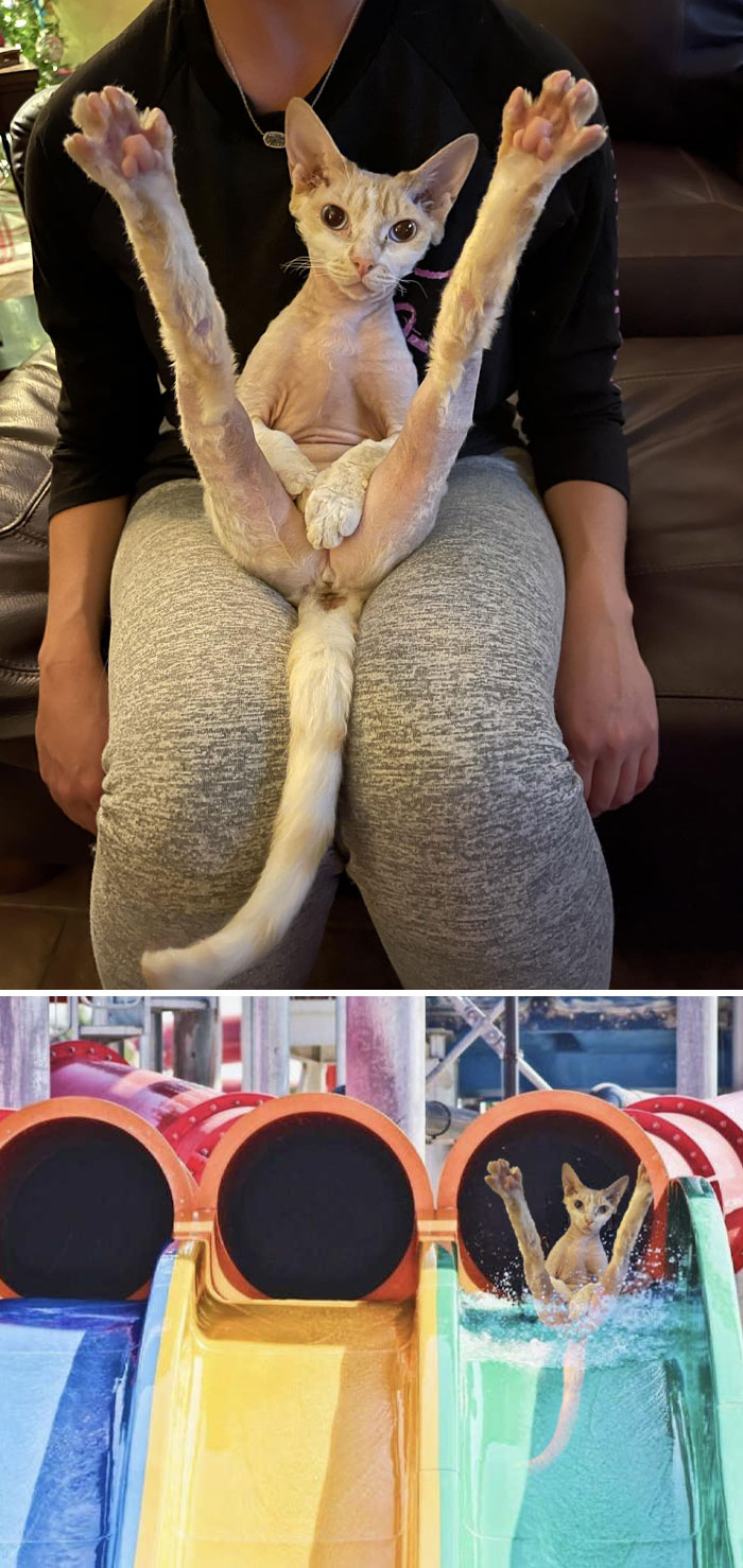 86 People Who Asked For Photo Edits, But Got Hilariously Unexpected Results Instead (New Pics)
