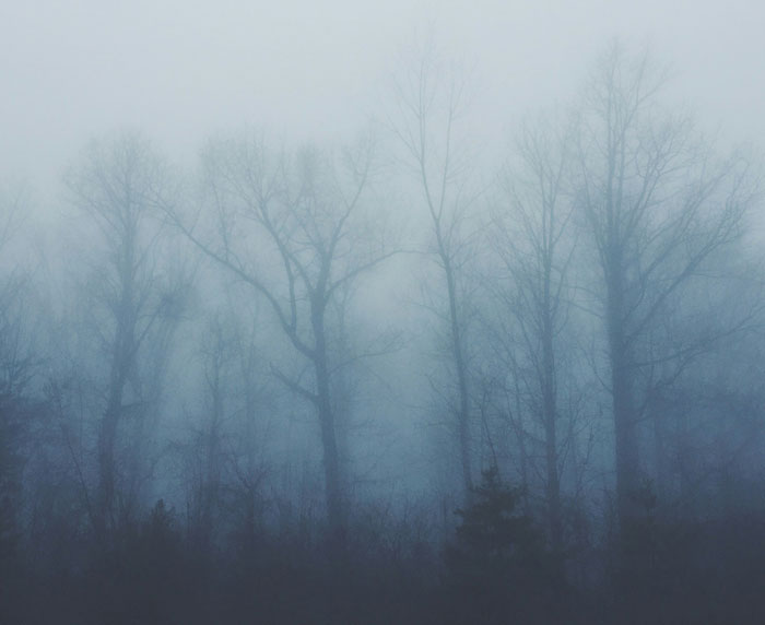 63 People Shared Creepy Things That Happened While They Were Home Alone
