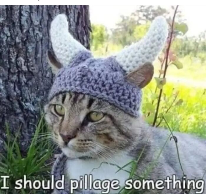 94 Archeology And History Memes To Help You Dig Out A Laugh