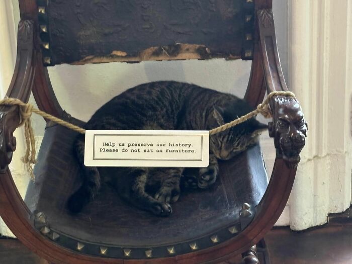 94 Archeology And History Memes To Help You Dig Out A Laugh