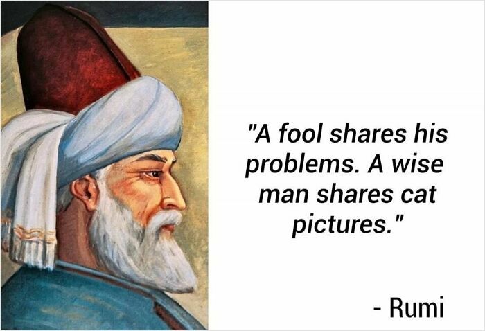 94 Archeology And History Memes To Help You Dig Out A Laugh