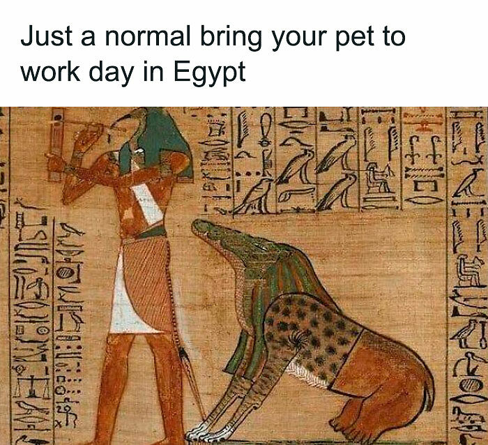 94 Archeology And History Memes To Help You Dig Out A Laugh