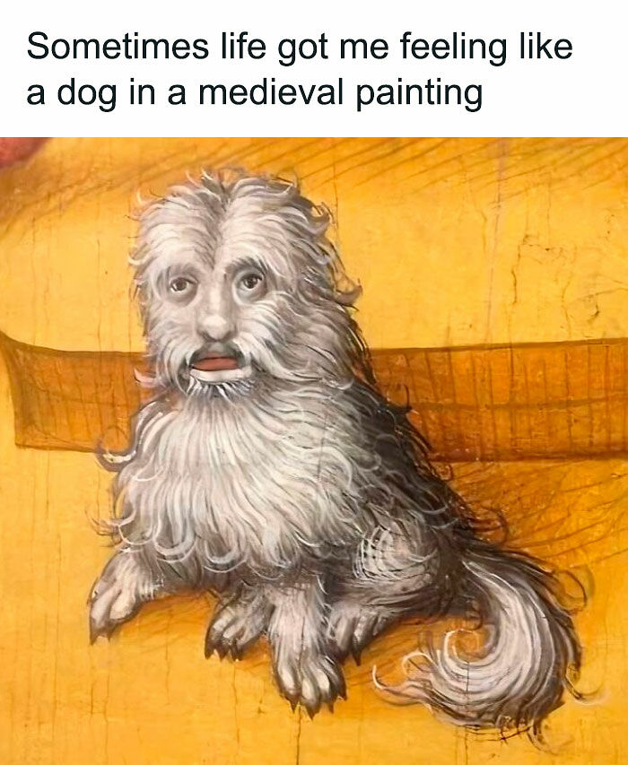94 Archeology And History Memes To Help You Dig Out A Laugh