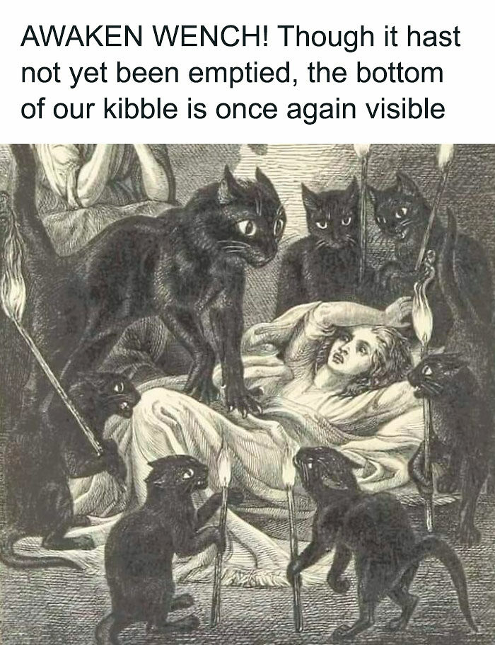 94 Archeology And History Memes To Help You Dig Out A Laugh