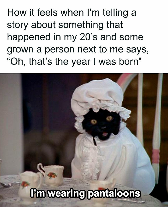 94 Archeology And History Memes To Help You Dig Out A Laugh