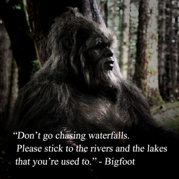 94 Archeology And History Memes To Help You Dig Out A Laugh