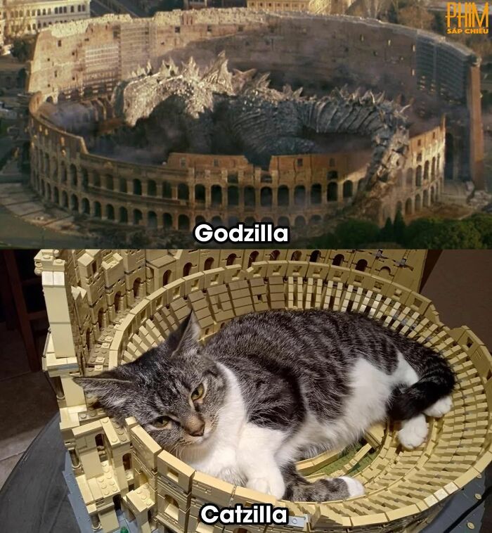 94 Archeology And History Memes To Help You Dig Out A Laugh