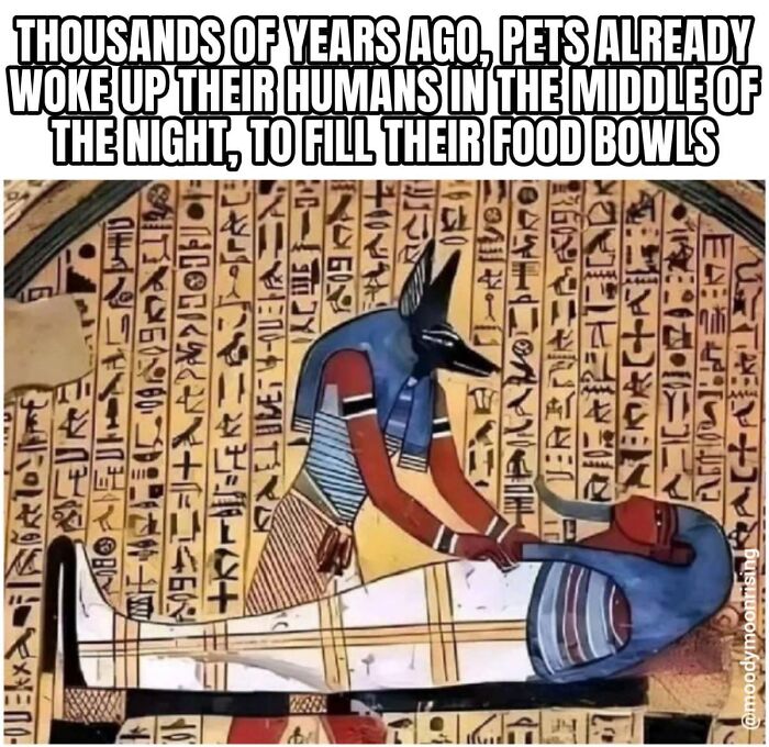 94 Archeology And History Memes To Help You Dig Out A Laugh