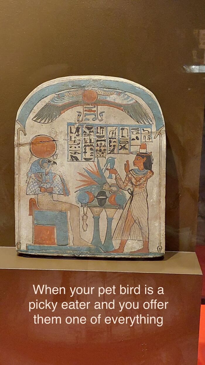 94 Archeology And History Memes To Help You Dig Out A Laugh