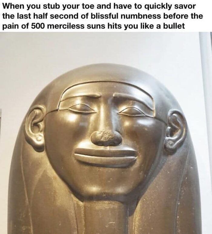 94 Archeology And History Memes To Help You Dig Out A Laugh