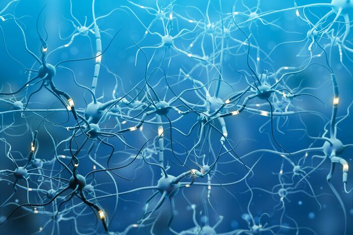 &#8220;Trust Your Gut Feeling&#8221;: Scientists Suggest Precognition May Be Real In Haunting New Evidence
