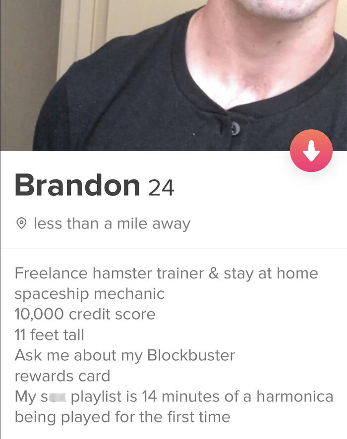50 Best Tinder Bios For Guys You’ll Want To Steal Instantly