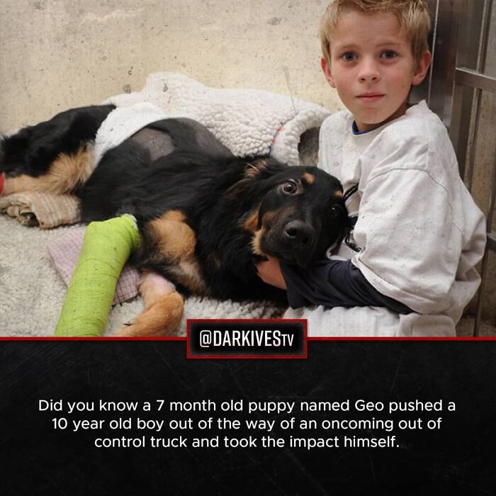 72 Disturbing Facts That Fans Of This Instagram Page Can’t Get Enough Of