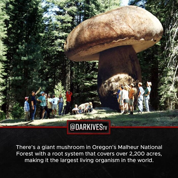72 Disturbing Facts That Fans Of This Instagram Page Can’t Get Enough Of