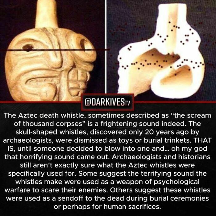 72 Disturbing Facts That Fans Of This Instagram Page Can’t Get Enough Of