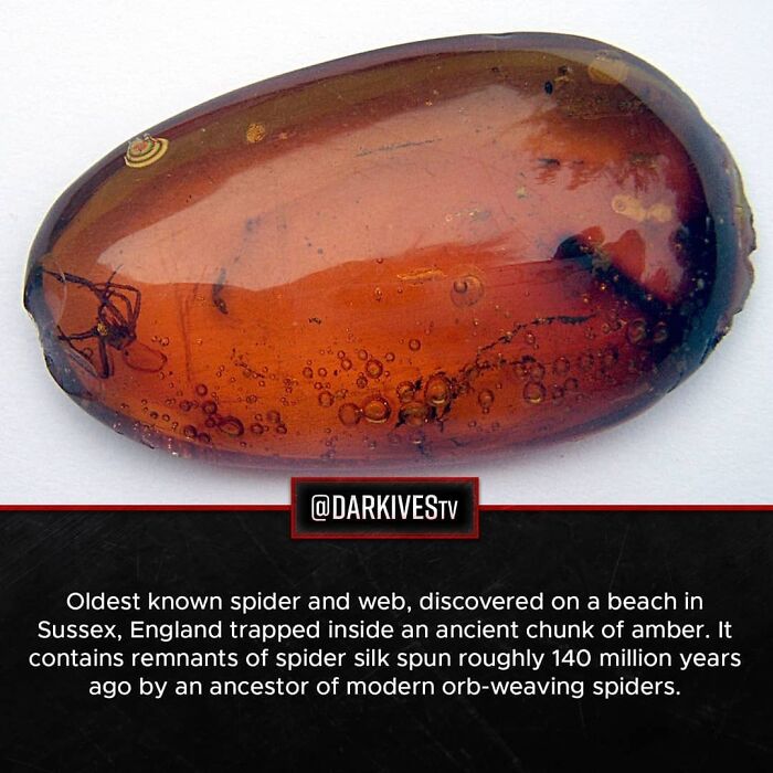 72 Disturbing Facts That Fans Of This Instagram Page Can’t Get Enough Of