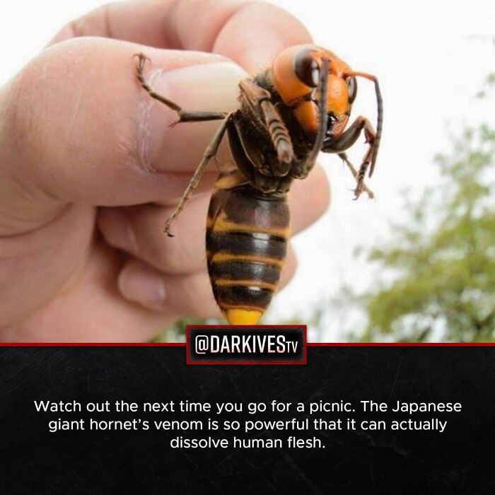 72 Disturbing Facts That Fans Of This Instagram Page Can’t Get Enough Of
