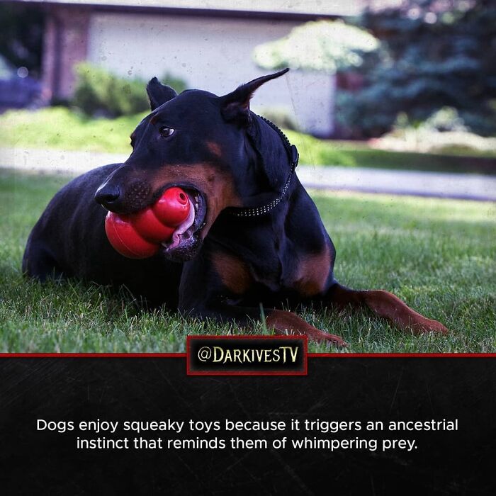 72 Disturbing Facts That Fans Of This Instagram Page Can’t Get Enough Of