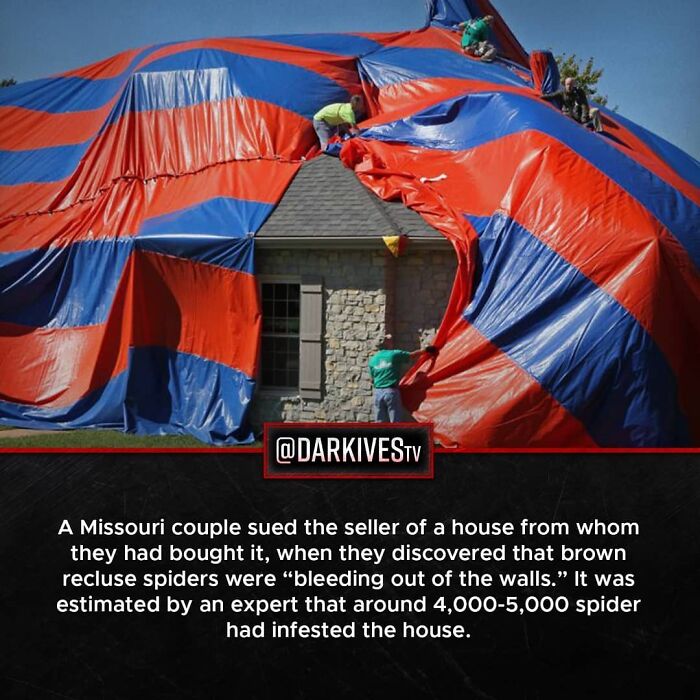 72 Disturbing Facts That Fans Of This Instagram Page Can’t Get Enough Of