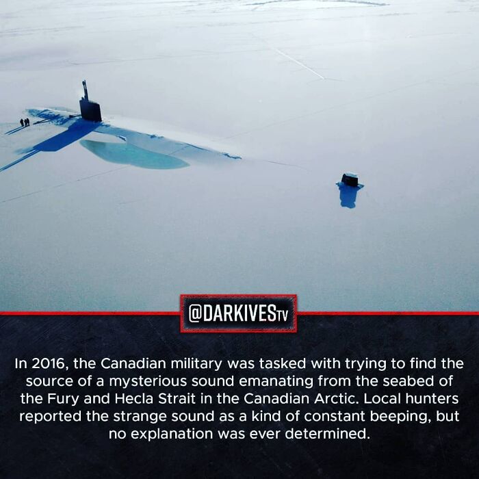 72 Disturbing Facts That Fans Of This Instagram Page Can’t Get Enough Of