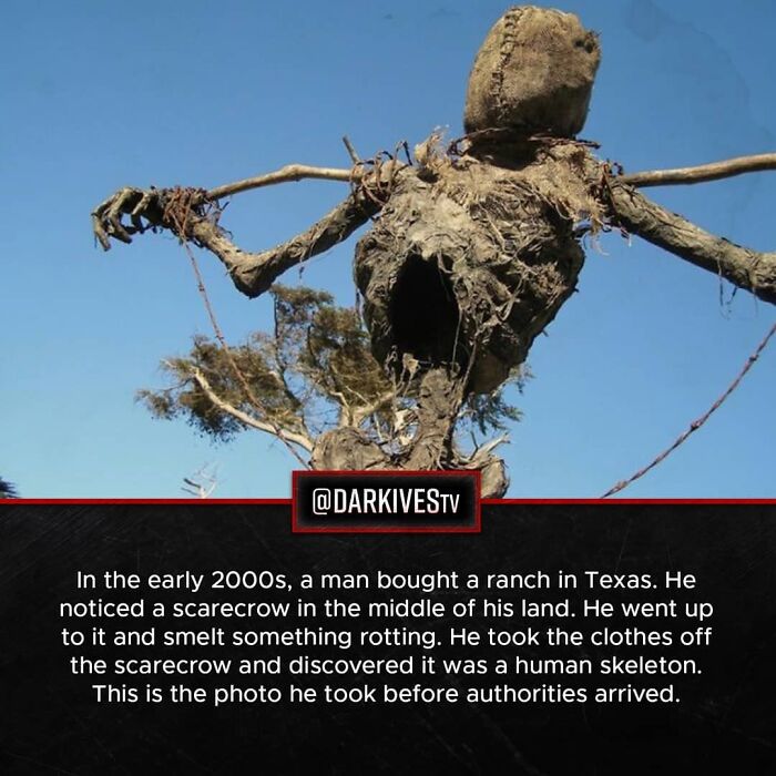 72 Disturbing Facts That Fans Of This Instagram Page Can’t Get Enough Of