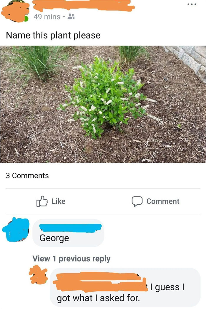 72 Old People Who Haven’t Got The Hang Of The Internet Blessed Us With Unintentional Comedy Gold