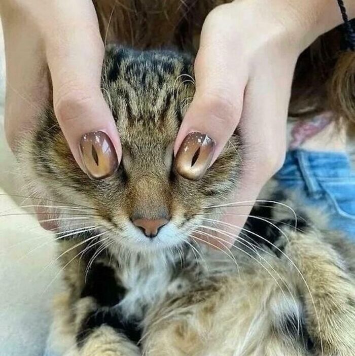 54 Pics That Came Out So Weird, They Became Holy And Cursed All At Once (New Pics)