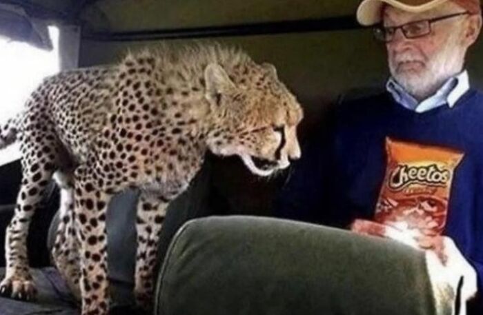 This Facebook Group Is The Place For Wholesome Animal Comedy, And These 38 New Photos Prove It
