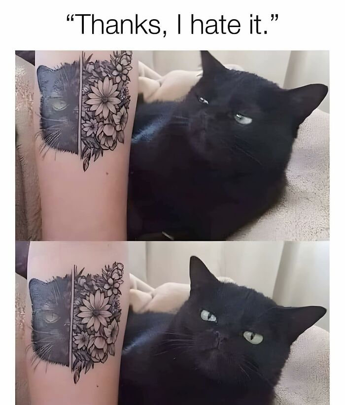 This Facebook Group Is The Place For Wholesome Animal Comedy, And These 38 New Photos Prove It