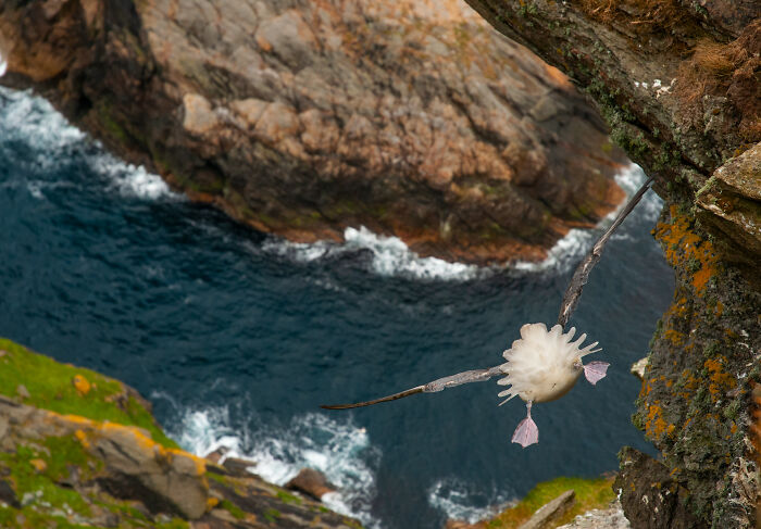 This Wildlife Photographer Captured 37 Stunning Moments In Nature