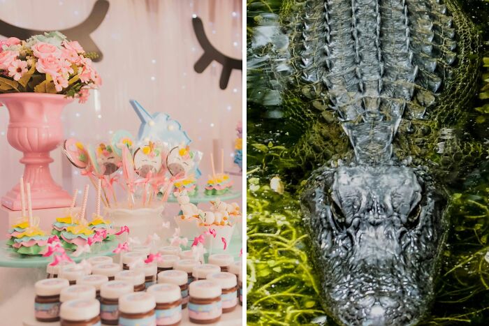 “Toddlers Or Alligator?”: Take This “Would You Rather” Poll If You’re Brave Enough