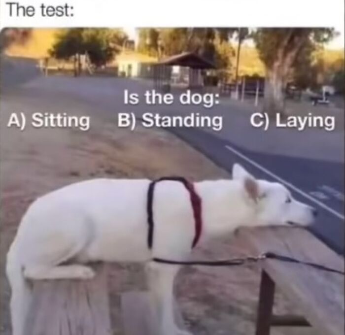 80 Funny Yet Educational Memes For Everyone In Medicine To Enjoy