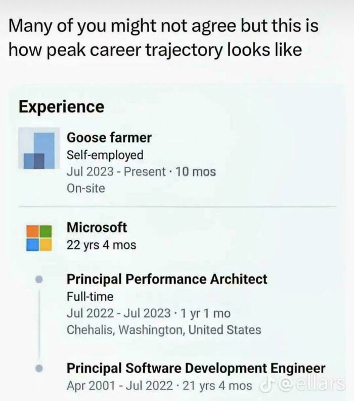 80 Job Listings With Requirements So Ridiculous People Walked Away Immediately (New Pics)