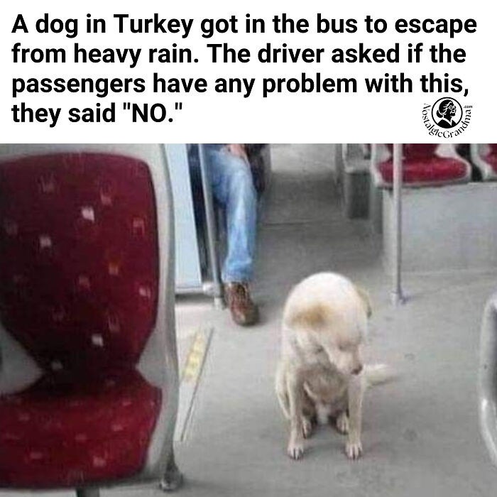 80 Wholesome Posts Coming To You Straight From The Safest And Kindest Community On The Internet