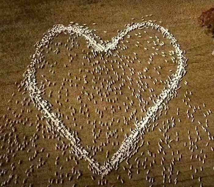80 Wholesome Posts Coming To You Straight From The Safest And Kindest Community On The Internet