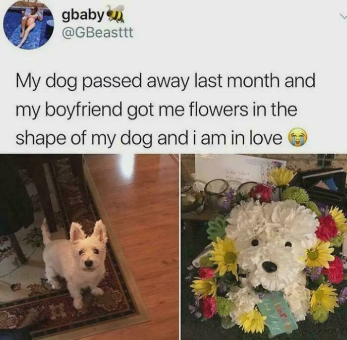 80 Wholesome Posts Coming To You Straight From The Safest And Kindest Community On The Internet