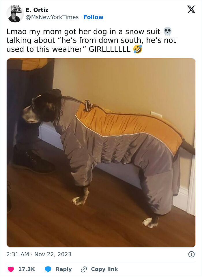 80 People Who Have The Funniest Parents Ever (New Pics)