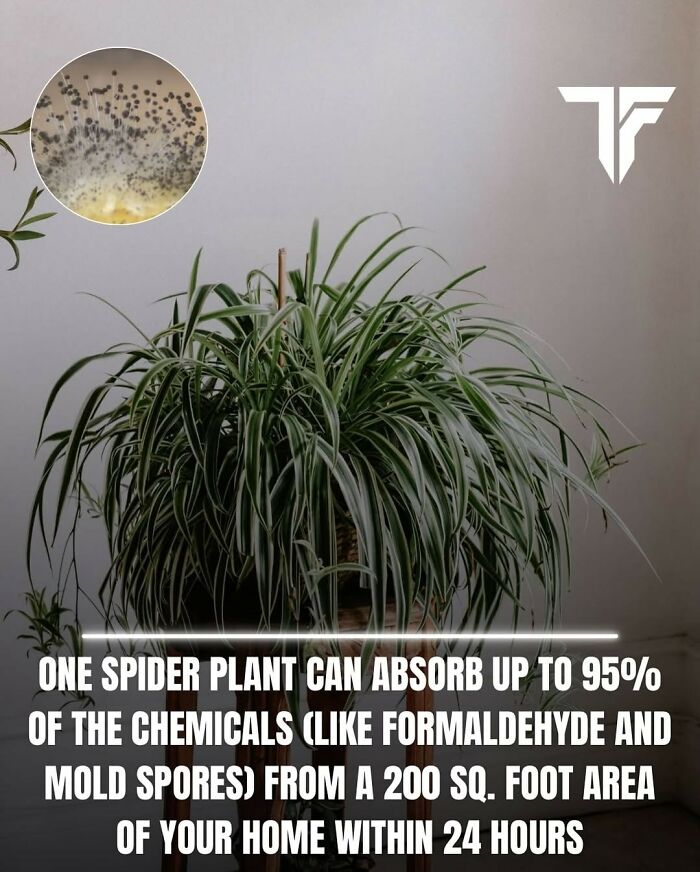 92 Absurd “Scientific” Takes That Say A Lot About Modern Society